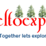 logo 3 Webitute